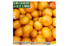 DZ6200_01_【2025年1月発送】秀品 有田みかん 和歌山県産 S～Lサイズ 大きさお任せ 10kg