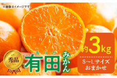 DZ6009n_01_【2025年1月発送】秀品 有田みかん 和歌山県産 S～Lサイズ 大きさお任せ 3kg