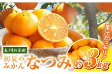 G7071_【2026年先行予約】初夏のみかん なつみ 3kg