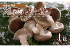 DM6003_最高級 肉厚椎茸 清流椎茸 1kg (200g×5パック)