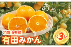 ZN6012_【2025年先行予約】こだわりの和歌山県産 有田みかん 3kg ひとつひとつ手選別で厳選！生産者から直送