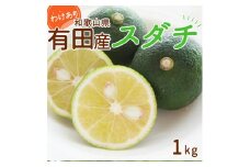 DI6055_和歌山県 有田産 スダチ 1kg 訳あり