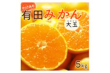 DI6057_和歌山県産 有田みかん 大玉5kg 2L～3L 訳あり