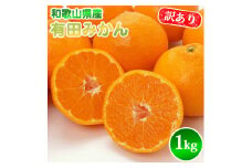 AN6112_【2025年先行予約】有田みかん【訳あり】1kg SS～2L サイズ混合 農家直送