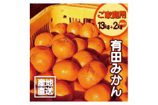 EH6011_【訳あり】有田みかん 13kg + 2kg保証分 サイズ混合 11月より順次発送