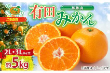 ZJ6084_【2025年先行予約】ご家庭用　和歌山有田みかん 約5kg (2L、3Lサイズいずれか)【湯浅町】