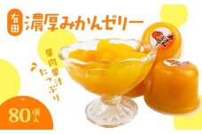 ZJ6059_果肉果汁たっぷり 有田濃厚みかんゼリー 80個入