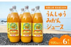 ZJ6060n_和歌山有田産100% うんしゅうみかんジュース  970ml × 6本セット