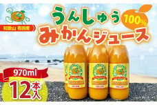 ZJ6061_和歌山有田産100% うんしゅうみかんジュース 970ml × 12本セット