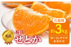 DZ6206_秀品　せとか 和歌山　有田 化粧箱 M～2Lサイズ 大きさお任せ 3kg