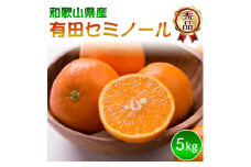 DZ6209_秀品 セミノール 和歌山 有田 S～2Lサイズ 大きさお任せ 5kg