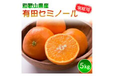 DZ6210_ご家庭用 セミノール 和歌山 有田 S～2Lサイズ 大きさお任せ 5kg