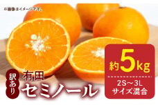 DZ6211_訳あり セミノール 和歌山 有田 2S～3Lサイズ混合 5kg