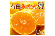 DI6047_和歌山県産 有田みかん 10kg 特秀