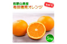DZ6216_ご家庭用 清見オレンジ 和歌山 有田 S～2Lサイズ 大きさお任せ 5kg