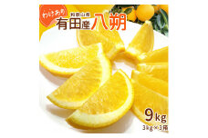 DI6051_訳あり 和歌山県有田産 八朔  3kg × 3箱 計9kg