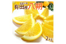 DI6059_和歌山県有田産 八朔 2kg M～2Lサイズ混合