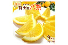 DI6050_秀品 和歌山県有田産 八朔 3kg × 3箱 計9kg