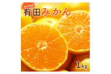 DI6060_和歌山県産 有田みかん 1kg 訳あり