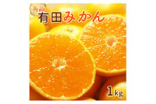 DI6061_和歌山県産 有田みかん 1kg 秀品