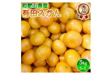 DZ6013n_12_【2024年12月発送】秀品 有田みかん 和歌山県産 S～Lサイズ 大きさお任せ 5kg