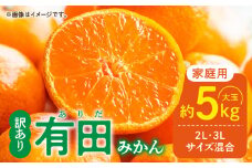 DZ6020n_ご家庭用 有田みかん 和歌山 大玉(2L,3Lサイズ混合) 約5kg