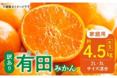 DZ6218_【ふるさと納税】 ご家庭用 有田みかん 和歌山 大玉(2L 3Lサイズ混合) 約4.5kg