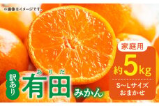 DZ6202_01_【2025年1月発送】ご家庭用 有田みかん 和歌山県産 S～Lサイズ 大きさお任せ 5kg