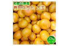 DZ6204_ご家庭用　有田みかん 大玉(2L,3Lサイズ混合) 約10kg