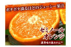 V7418_セミノール オレンジ 約2.8kg 和歌山県有田産 春みかん (果実サイズおまかせ) 春柑橘 紀伊国屋文左衛門本舗