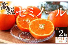 ZS6157_主井農園 高級 セミノール 2kg サイズ混合