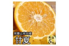 V7305_【ふるさと納税】甘夏 (あまなつ) 秀品 約5kg 和歌山県有田産 春みかん 春柑橘 (果実サイズおまかせ) / 紀伊国屋文左衛門本舗