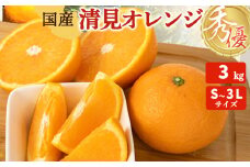 ZT6401_【2026年先行予約】清見オレンジ 秀優 3kg S～3Lサイズ