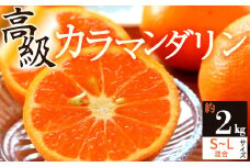 ZS6159_主井農園 高級 カラマンダリン 2kg サイズ混合