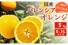 ZT6246_国産 バレンシアオレンジ 【訳あり 家庭用】 5kg S～3Lサイズ