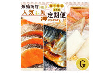 G60-T38_【定期便 全3回】魚鶴商店が選ぶ人気お魚G(銀鮭切身・サバフィレ・魚切身)