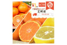 G60-T81_【定期便 全3回】紀州和歌山産 旬の ご家庭用 柑橘セット（みかん・不知火・レモン）