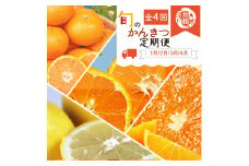 G60-T48_【定期便 全4回】紀州和歌山産 旬の柑橘セット（みかん・ポンカン・レモン・清見）