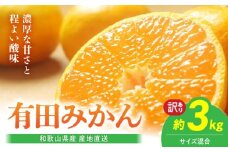 BL6171_【2025年先行予約】【産地直送】和歌山県産 有田みかん 3kg サイズ混合 【訳あり】