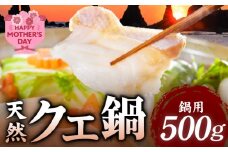 R1002_H_【母の日までにお届け！】天然 クエ鍋 500g（くえ鍋セット）