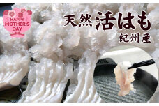 R6005_H_【母の日までにお届け！】天然はも【400ｇ】（骨切り済）