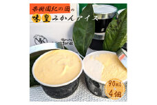 ZY6123_果樹園紀の国の 味皇みかんアイス 4個入り