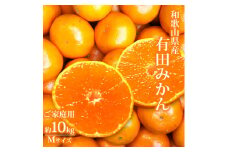 AT6319_【ご家庭用】有田みかん 約10kg Mサイズ【湯浅町】