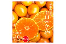 AT6320_【ご家庭用】有田みかん 約10kg (3S、2S、Sサイズ)【湯浅町】