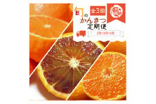 G60-T46_【定期便 全3回】紀州和歌山産旬の柑橘セット（不知火・せとか・ブラッドオレンジ）