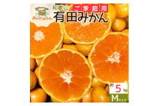 ZJ6099_【ご家庭用】有田みかん 約5kg Mサイズ【湯浅町】
