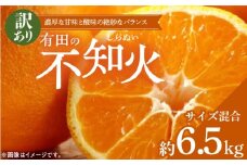 ZD6384n_【2026年先行予約】【濃厚】有田の不知火 (デコポン) 【訳あり 家庭用】 6.5kg (サイズ混合)