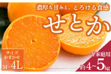 ZD7003_【2026年先行予約】一度は食べていただきたい 有田産のせとか 【訳あり 家庭用】 4kg～5kg (サイズおまかせ)