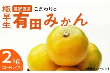 ZT6226n_【2025年先行予約】こだわりの有田みかん 2kg 極早生YN26　サイズ2S～M