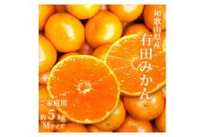 AT6316_【ご家庭用】有田みかん 約5kg Mサイズ【湯浅町】